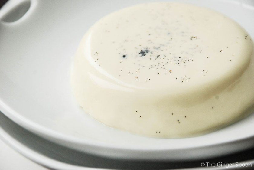 panacotta